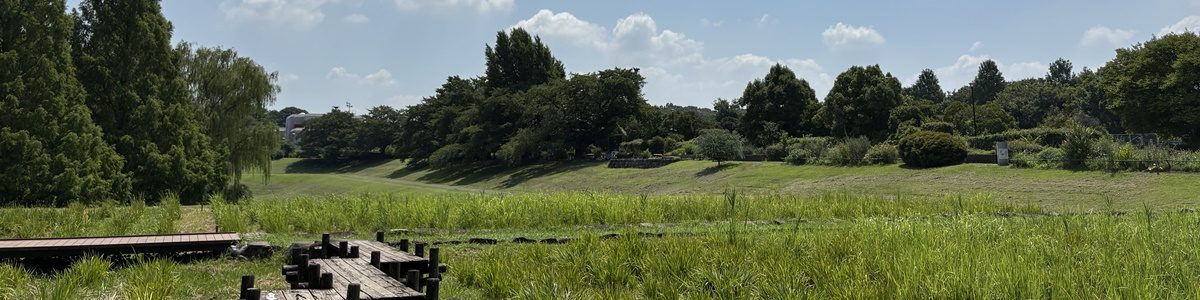 大宮第二公園　夏...暑っ
