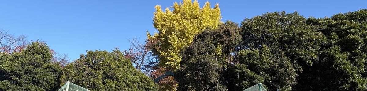 大宮公園　初冬